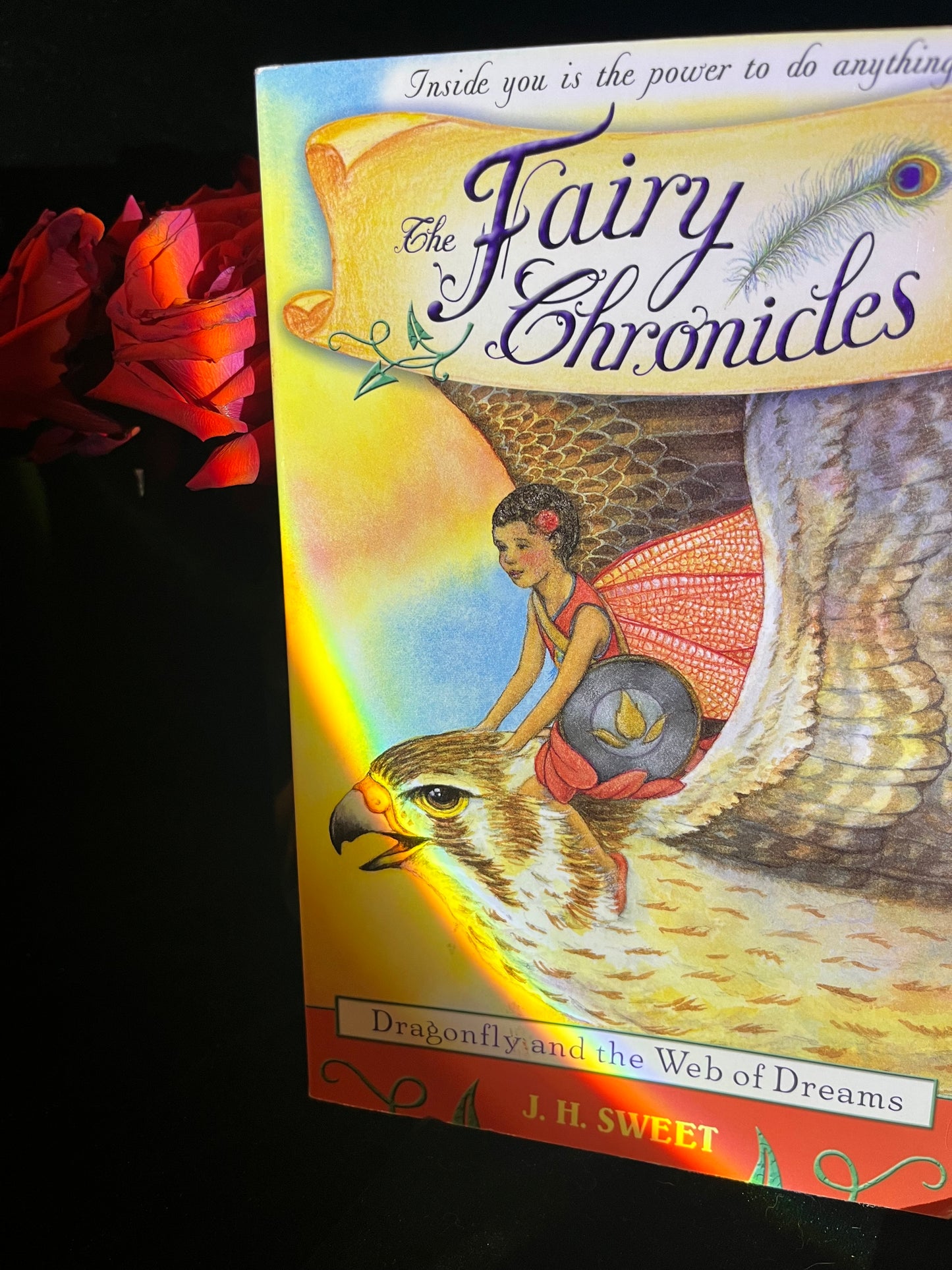 The Fairy Chronicles: Dragonfly and the Web of Dreams by J.H. Sweet