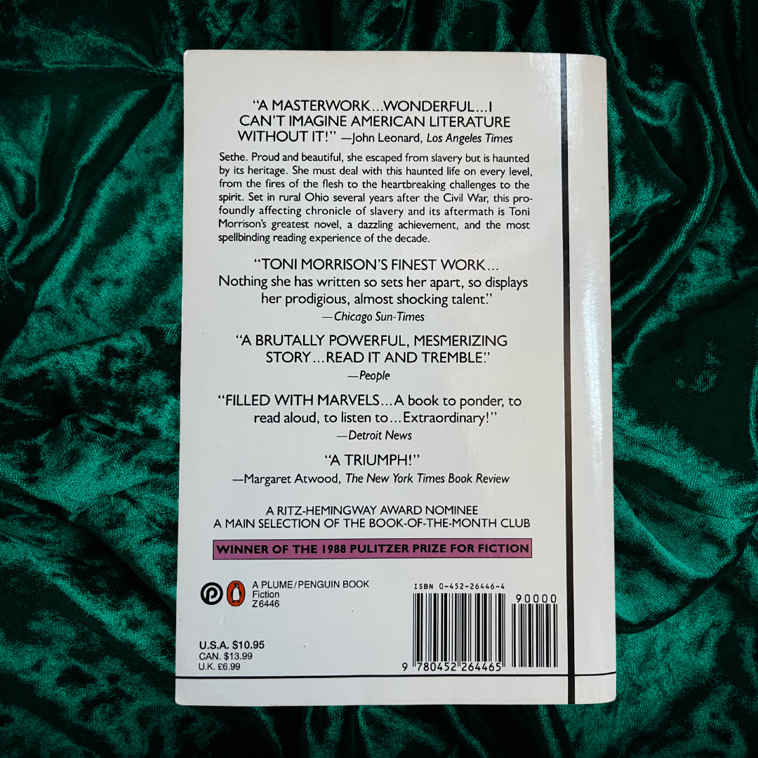 Speak by Laurie Halse Anderson