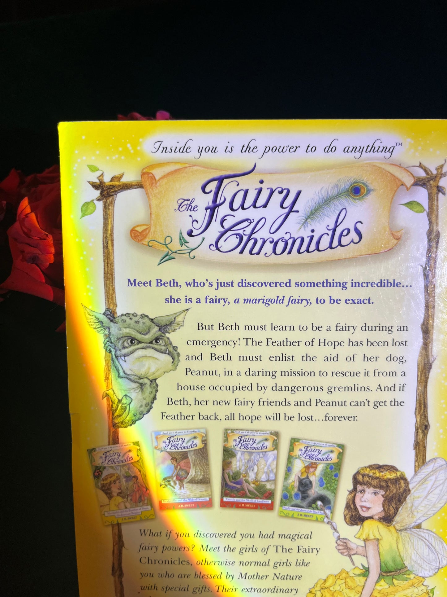 The Fairy Chronicles: Marigold and the Feather of Hope, the Journey Begins by J.H. Sweet