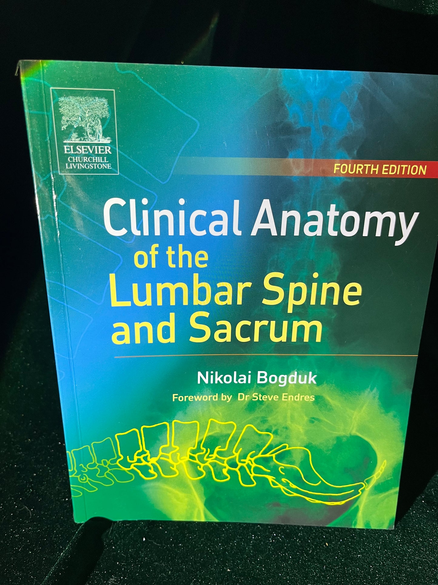 Clinical Anatomy of the Lumbar Spine and Sacrum 4th Edition by Nikolai Bogduk