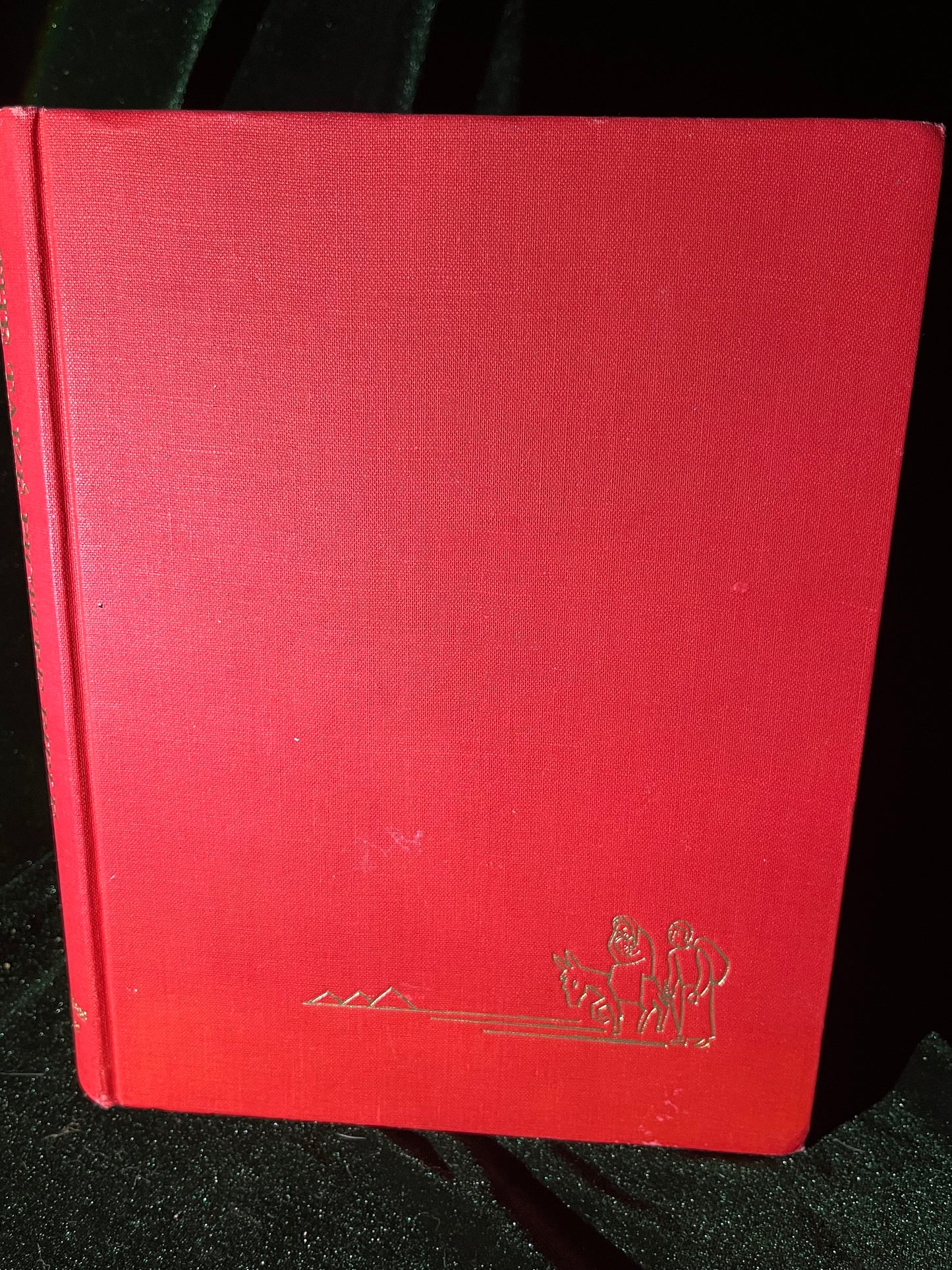 The Taize Picture Bible