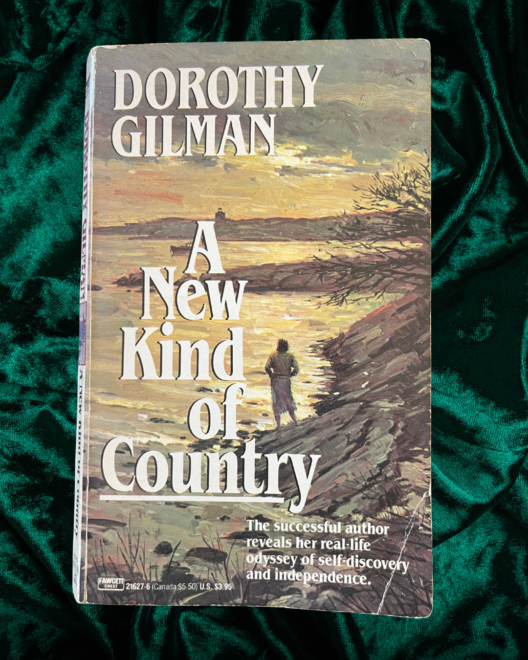 A New Kind of Country by Dorothy Gilman