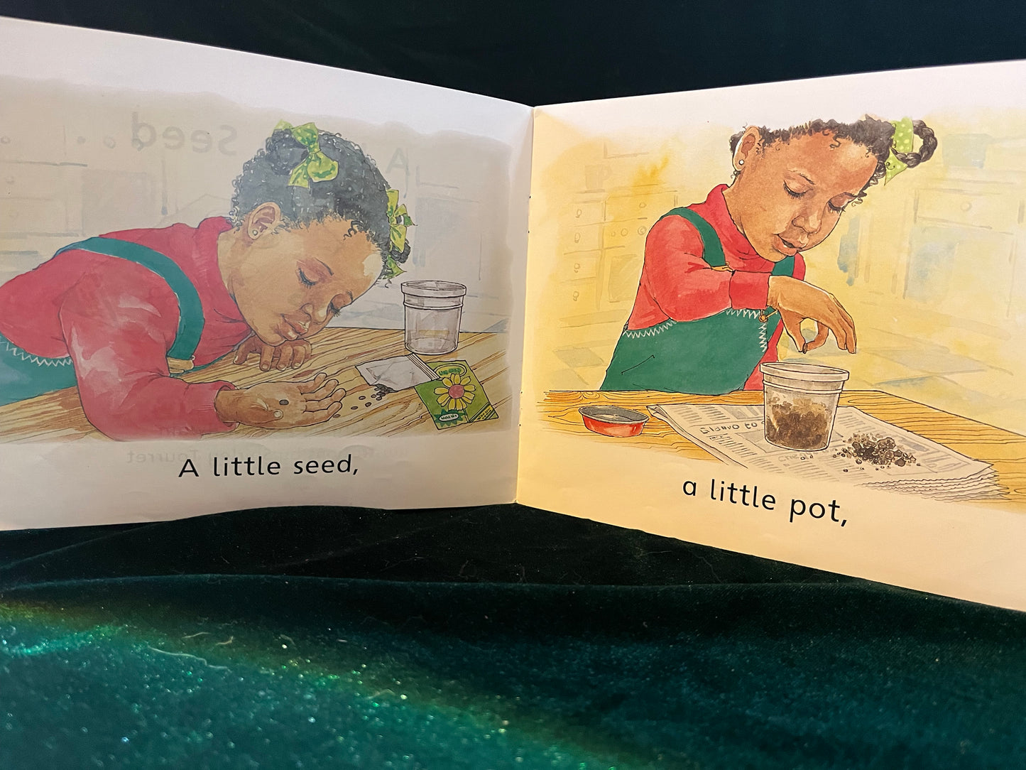 A Little Seed by John McIlwain