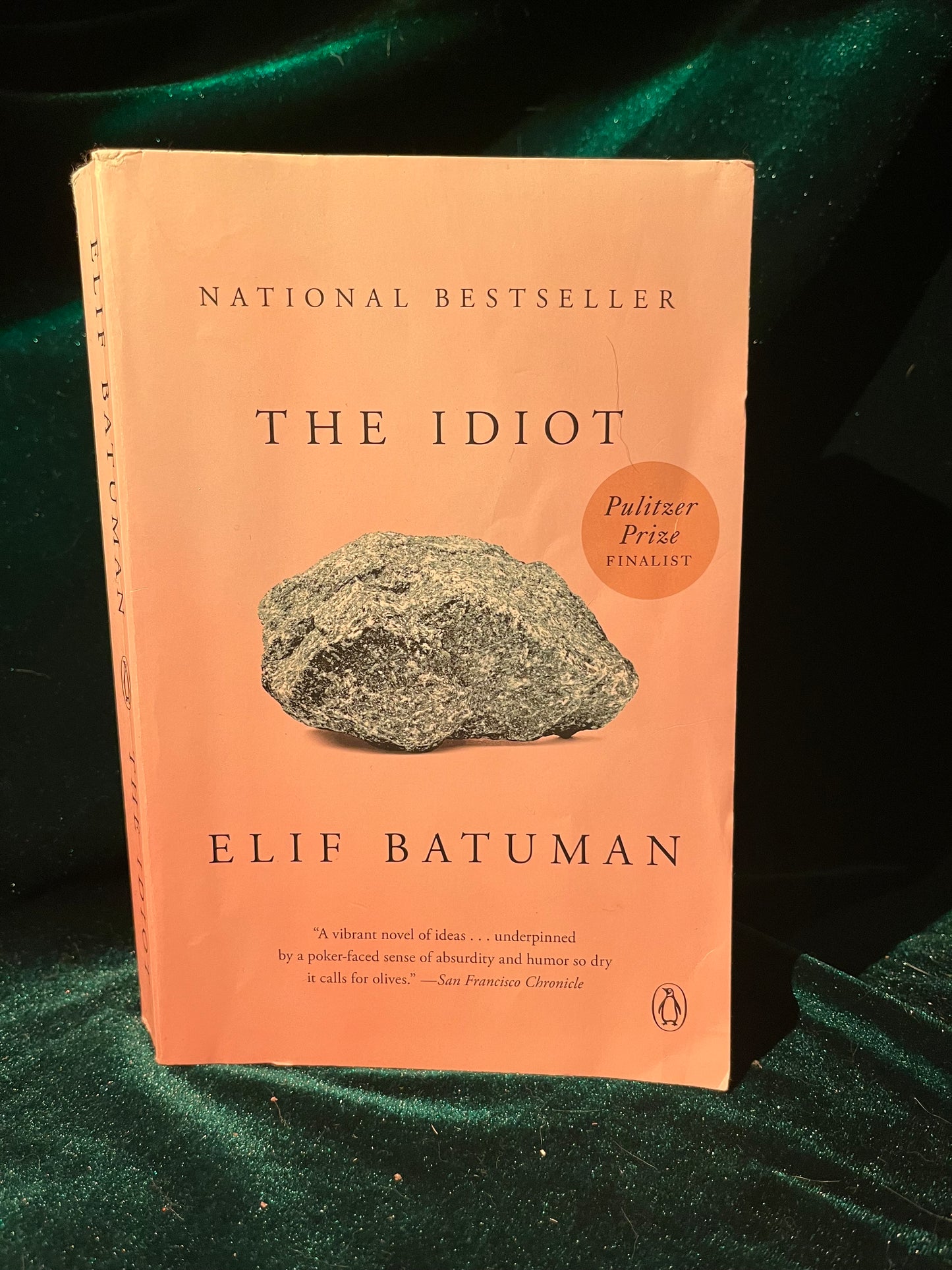 The Idiot by Elif Batuman