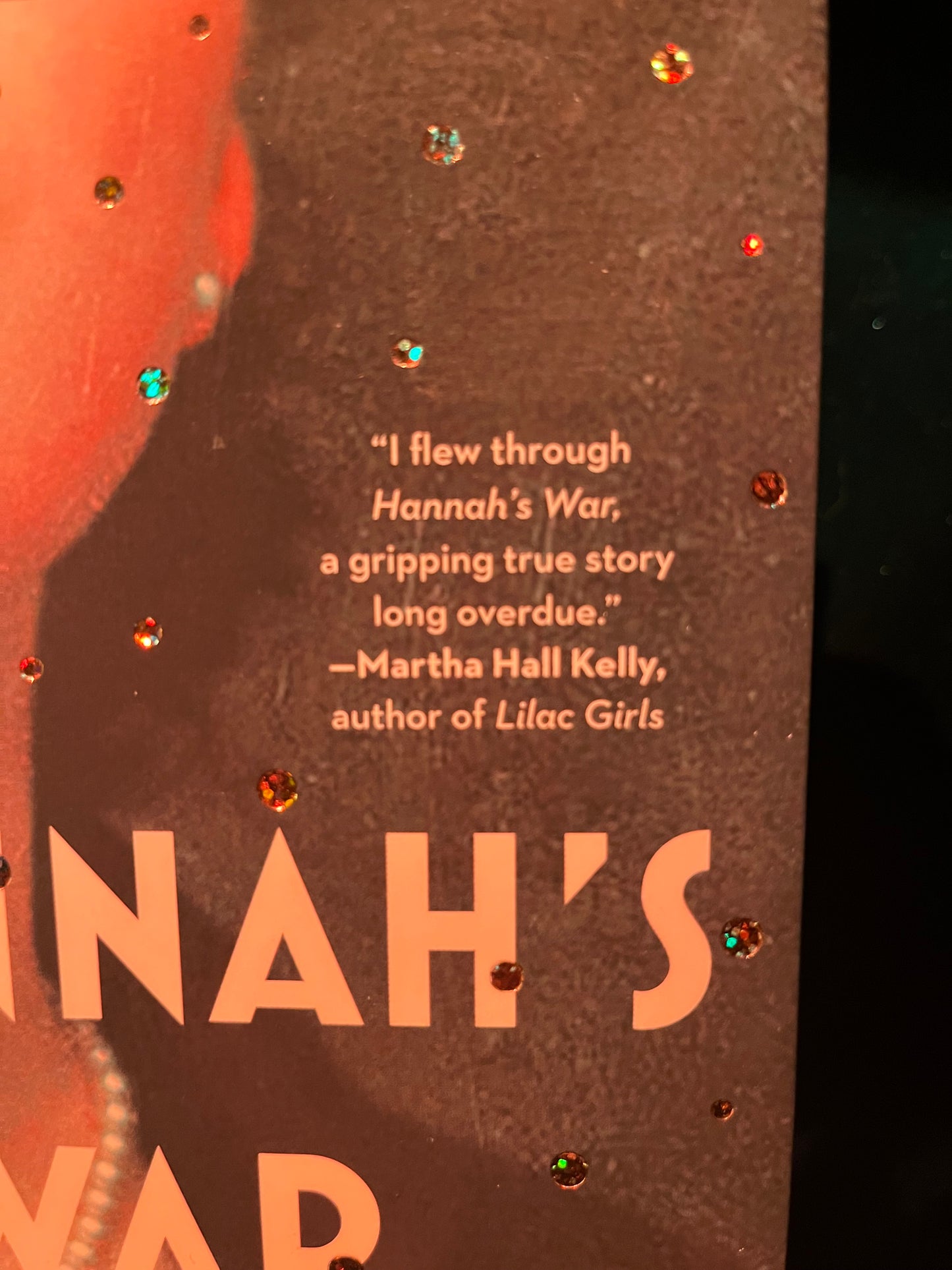 Hannah’s War by Jan Eliasberg