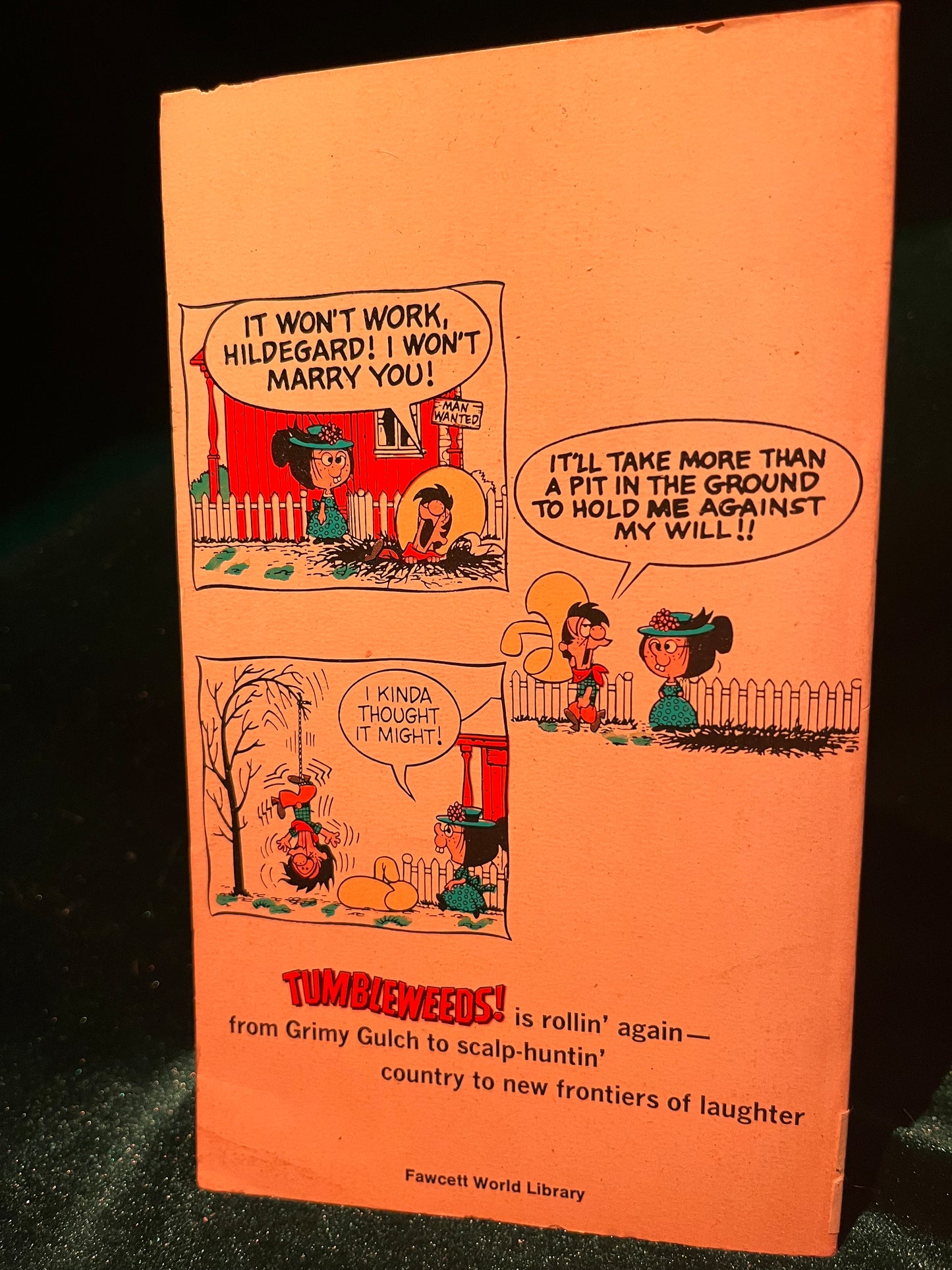 Let ‘Er Rip Tumbleweeds by Tom K. Ryan