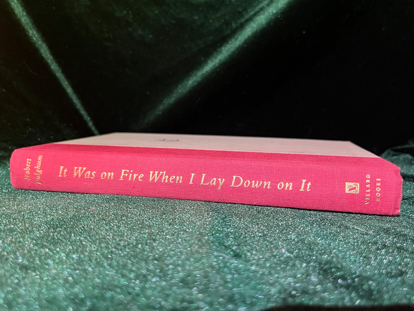 It Was on Fire When I Lay Down on It by Robert Fulghum