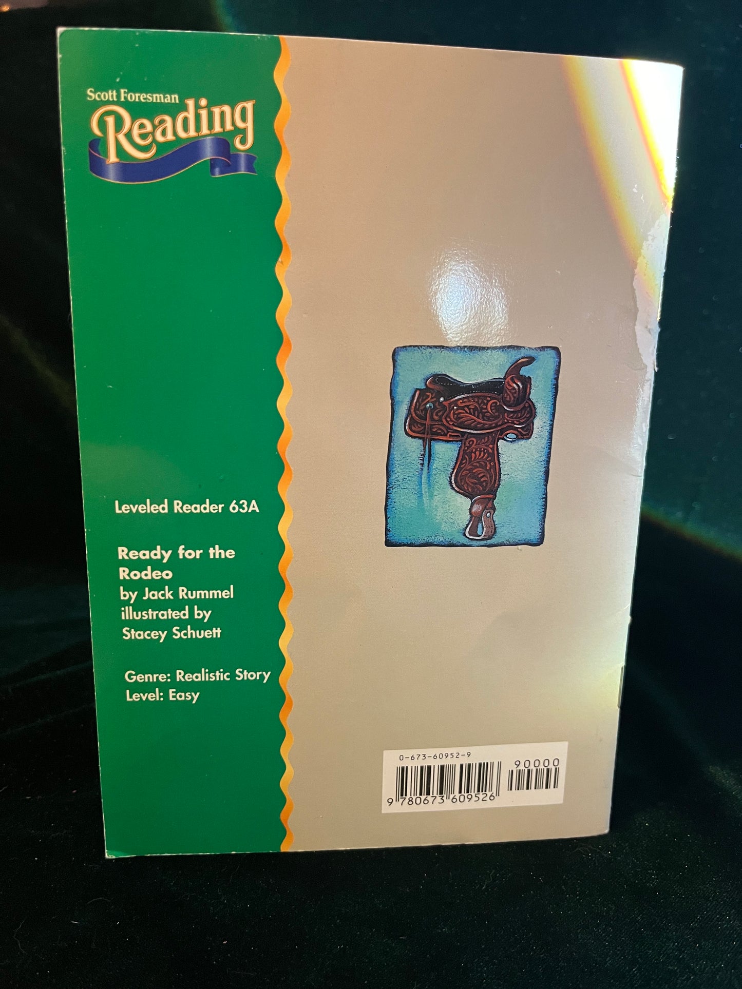 Ready For the Rodeo by Jack Rummel