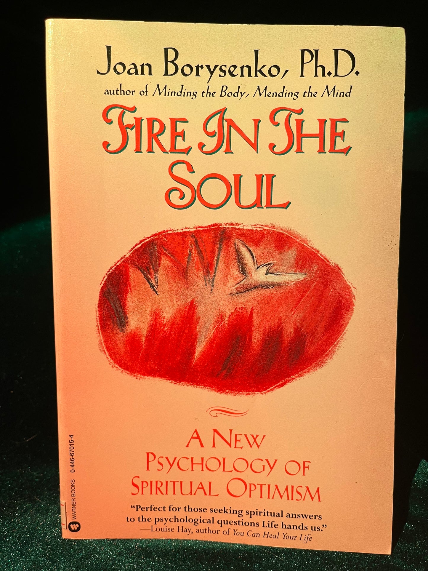 Fire in the Soul: A New Psychology of Spiritual Optimism by Joan Borysenko
