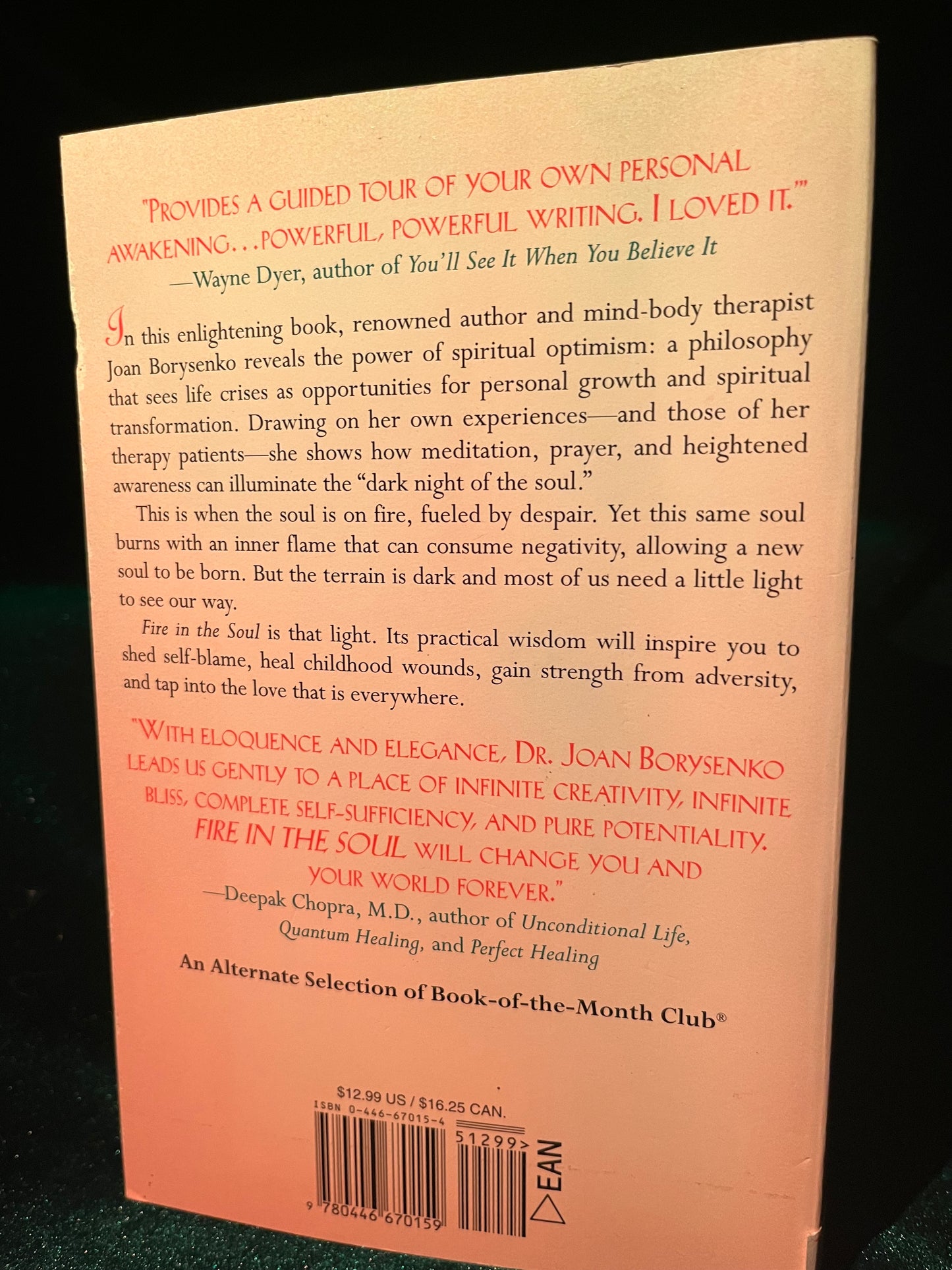 Fire in the Soul: A New Psychology of Spiritual Optimism by Joan Borysenko
