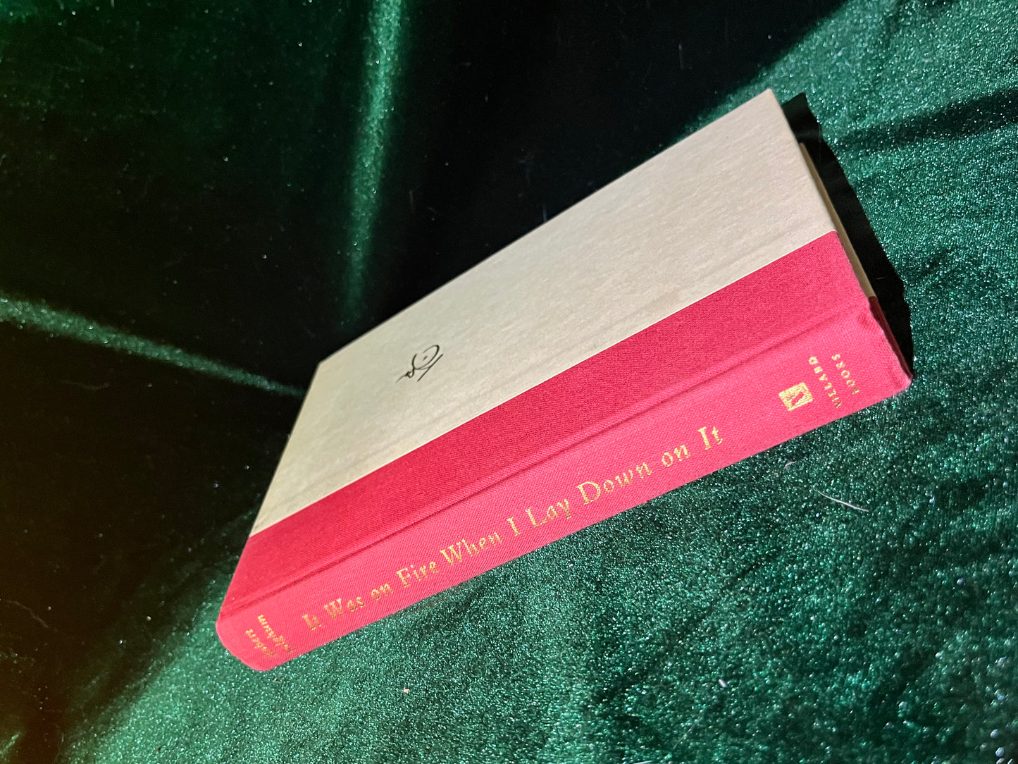 It Was on Fire When I Lay Down on It by Robert Fulghum