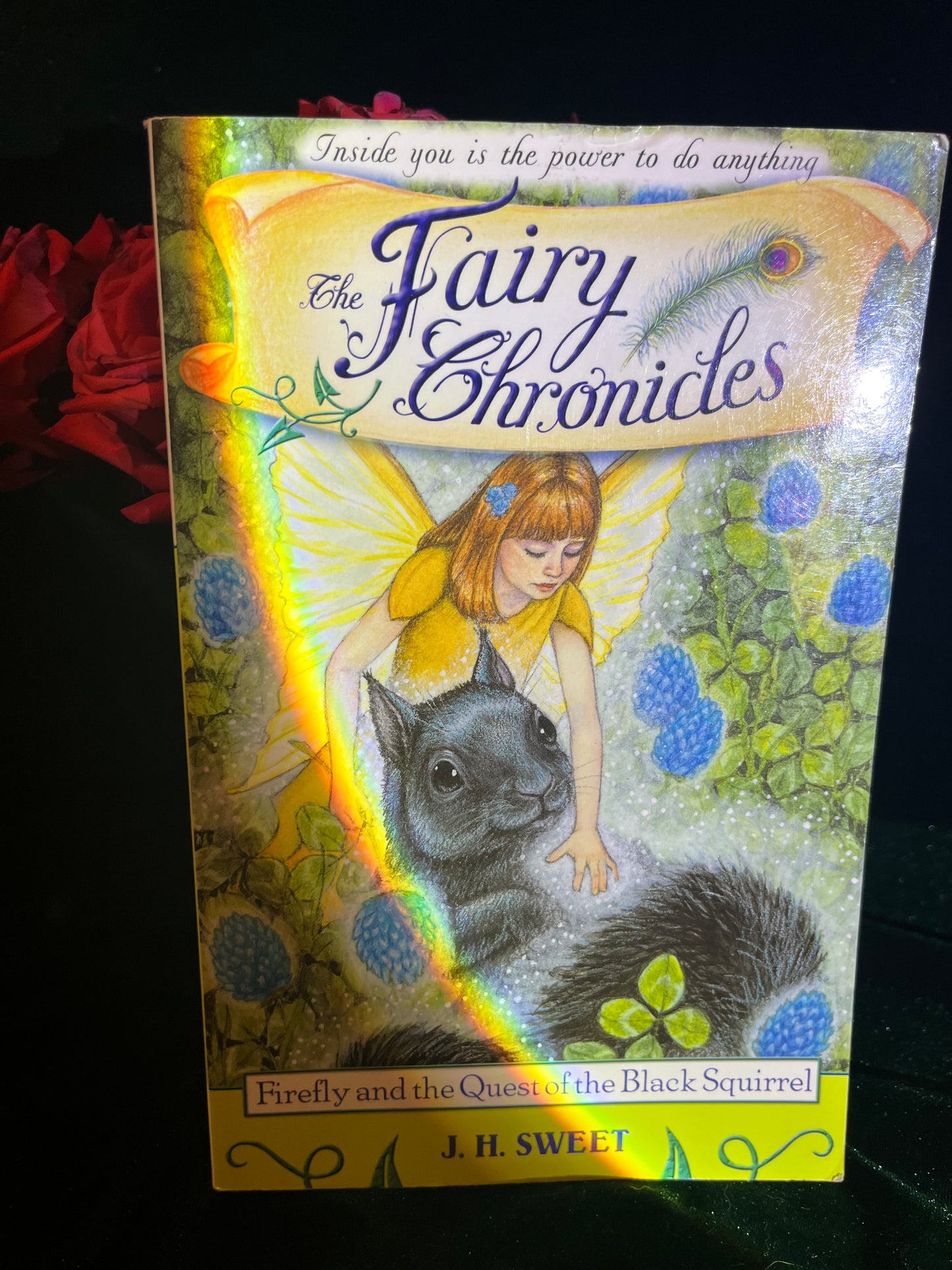 The Fairy Chronicles: Firefly and the Quest of the Black Squirrel by J.H. Sweet