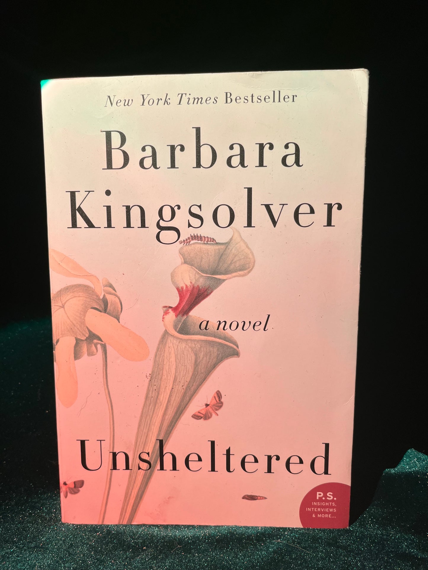 Unsheltered by Barbara Kingslover