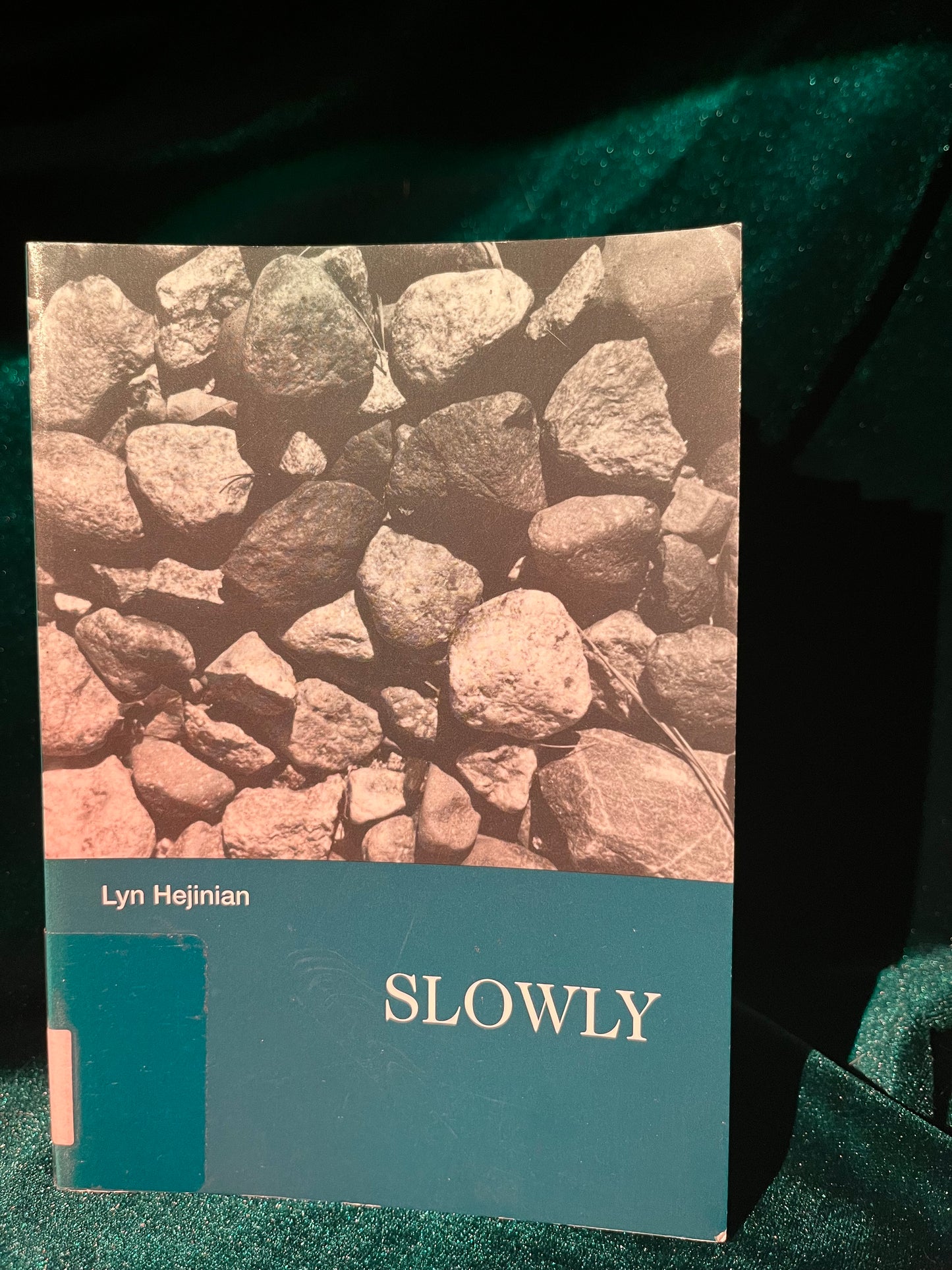 Slowly by Lyn Hejinian