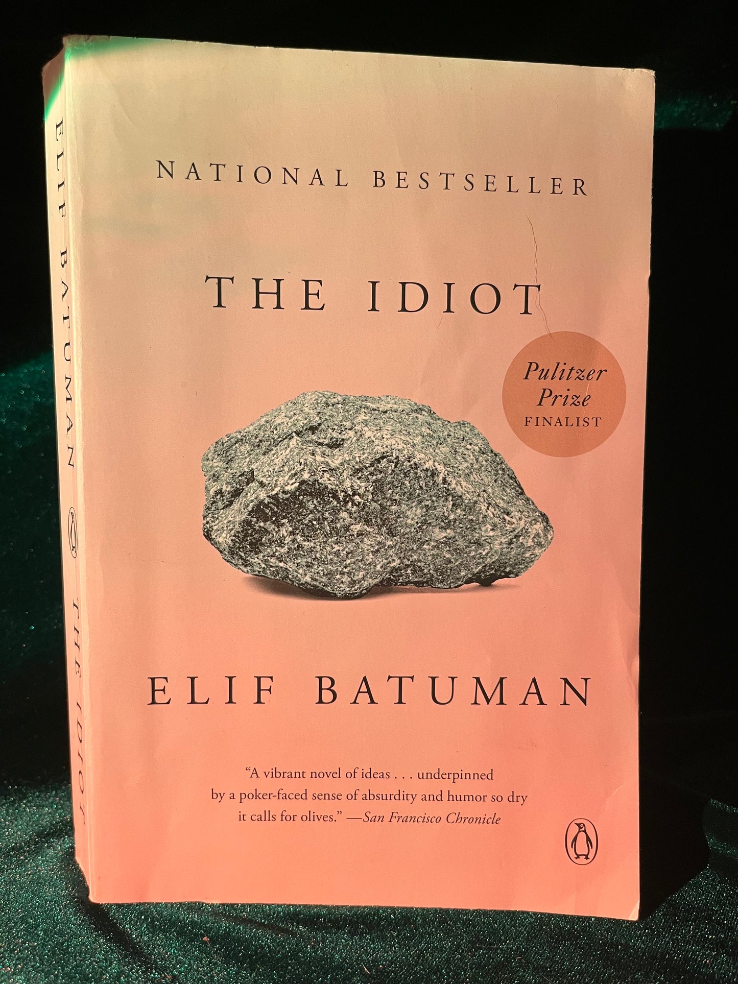 The Idiot by Elif Batuman