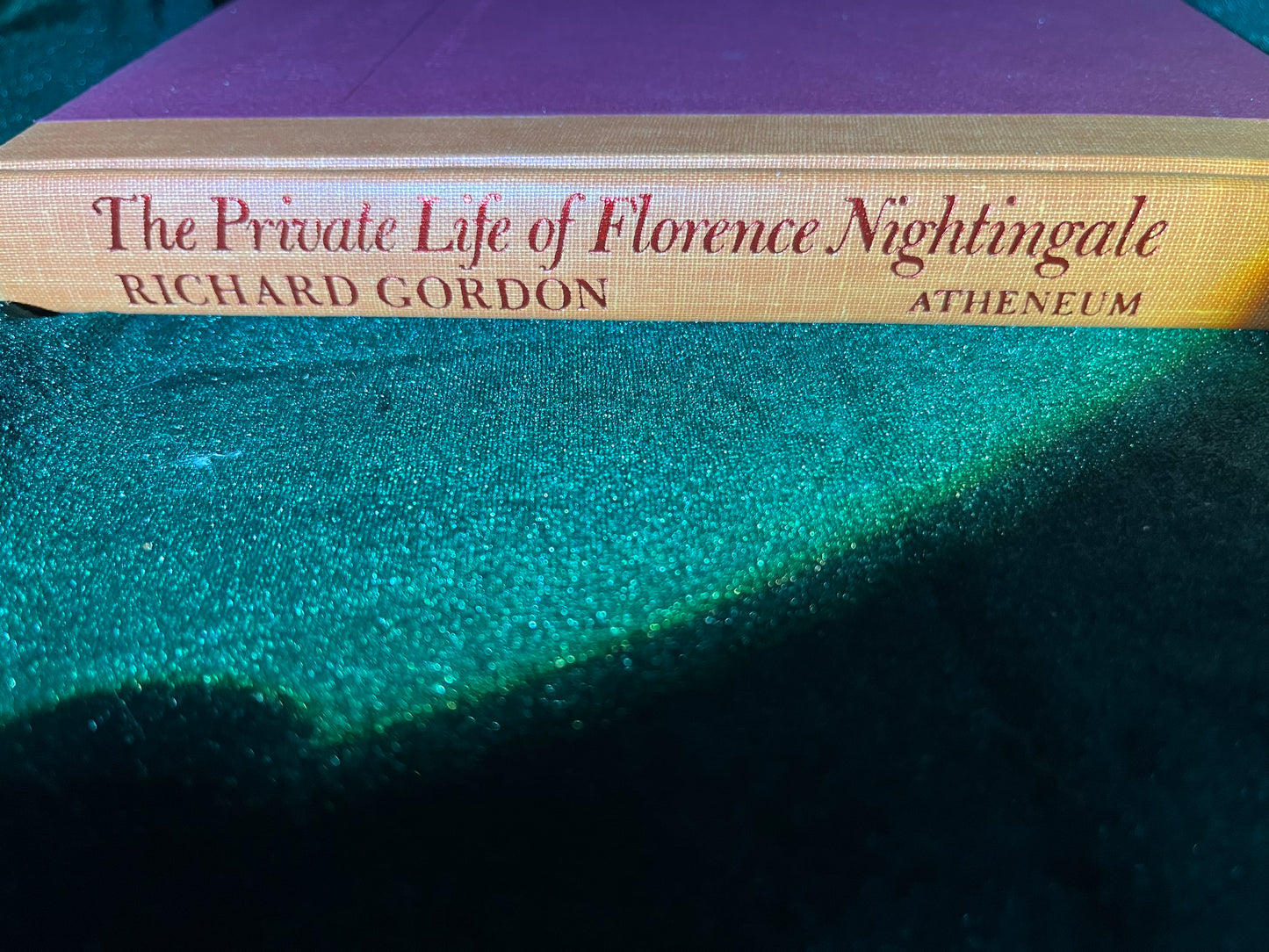 The Private Life of Florence Nightingale by Richard Gordon