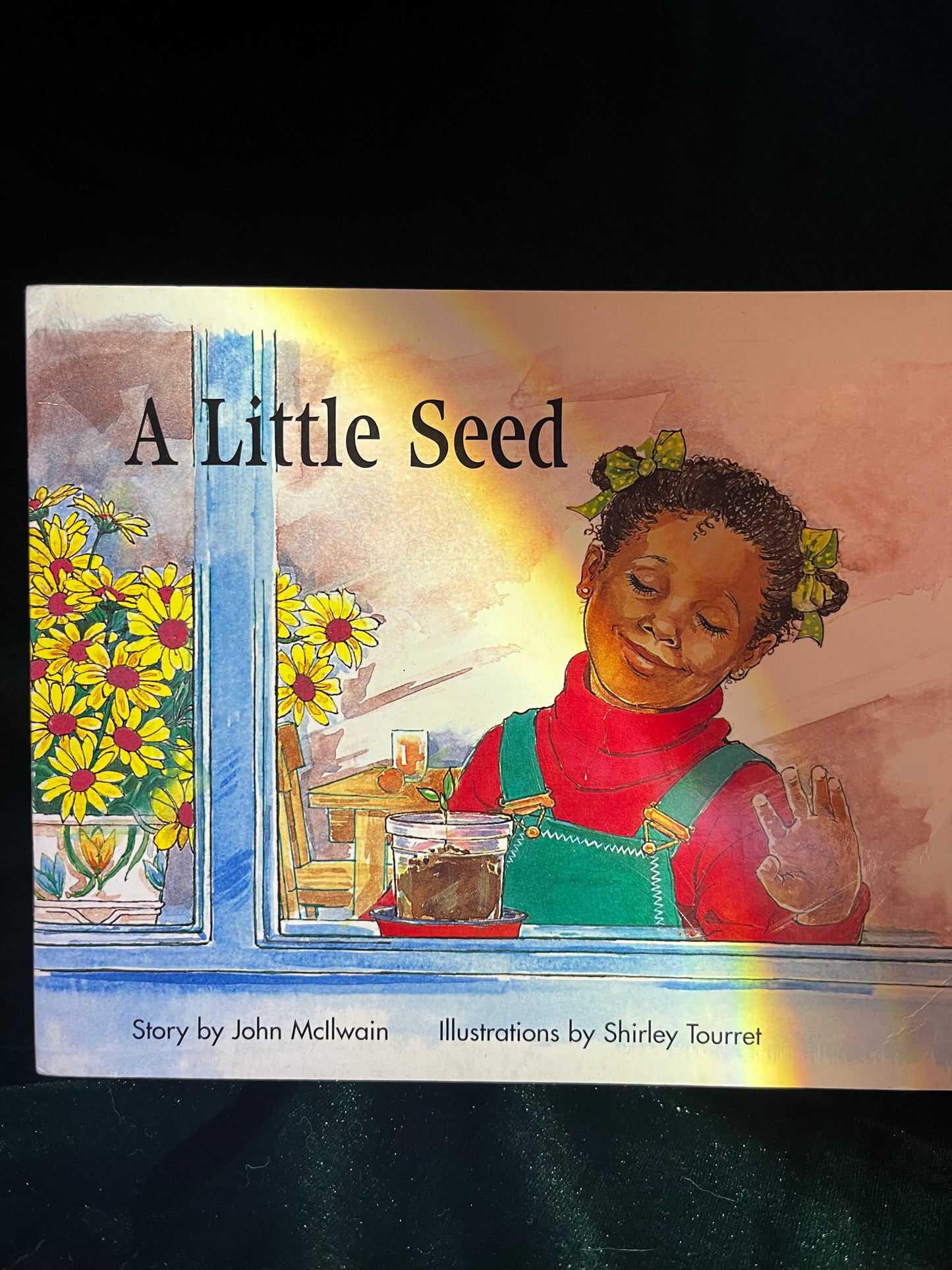 A Little Seed by John McIlwain