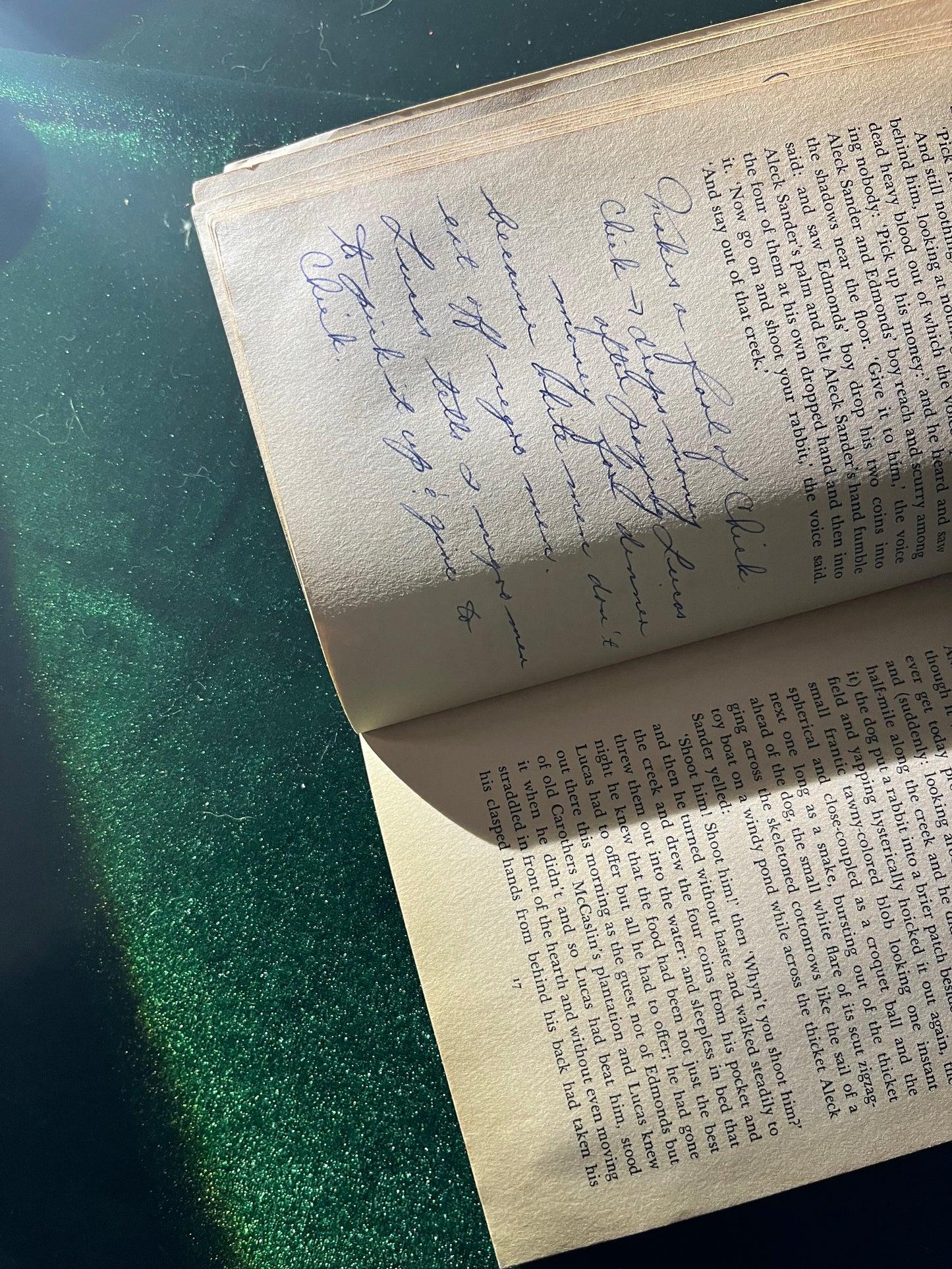 Intruder in the Dust by William Faulkner (heavily notated)