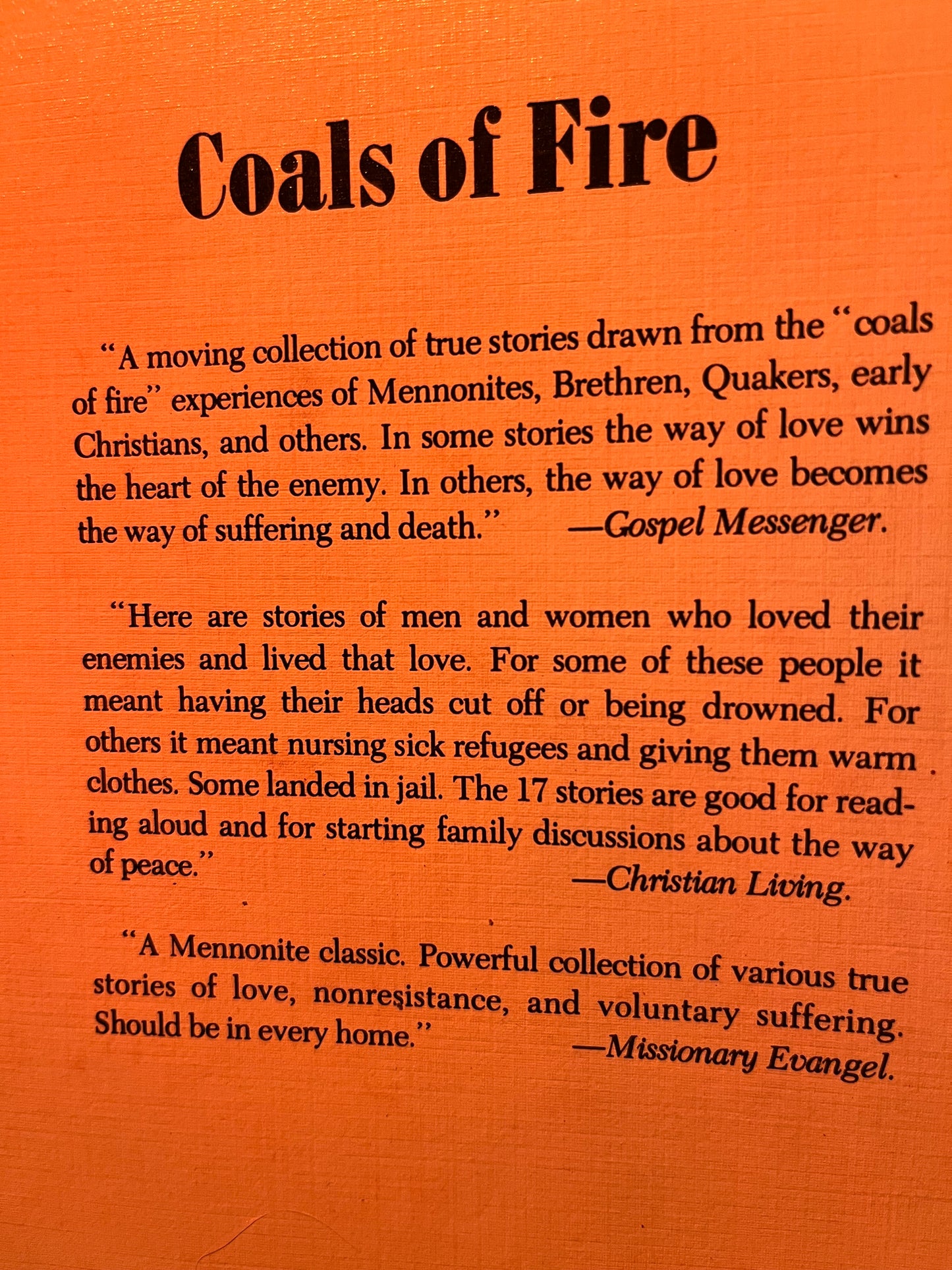 Coals of Fire by Elizabeth H. Bauman