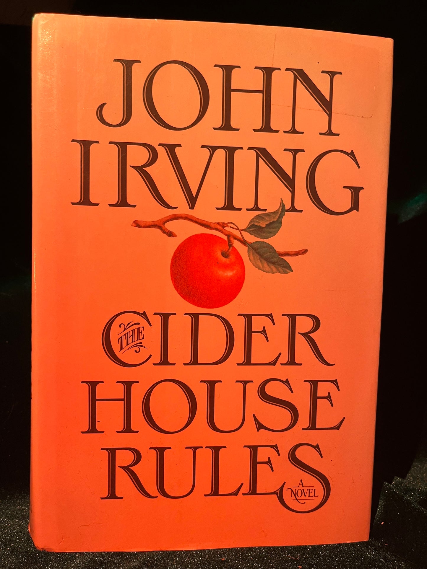 The Cider House Rules by John Irving