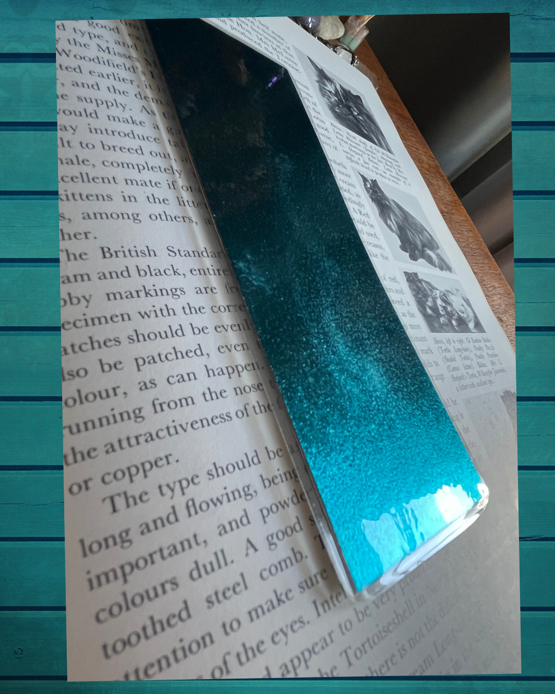Illuminatus! Bookmark