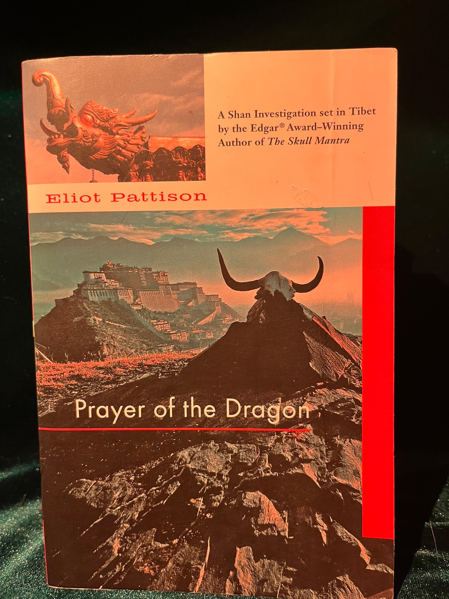 Prayer of the Dragon by Eliot Pattison