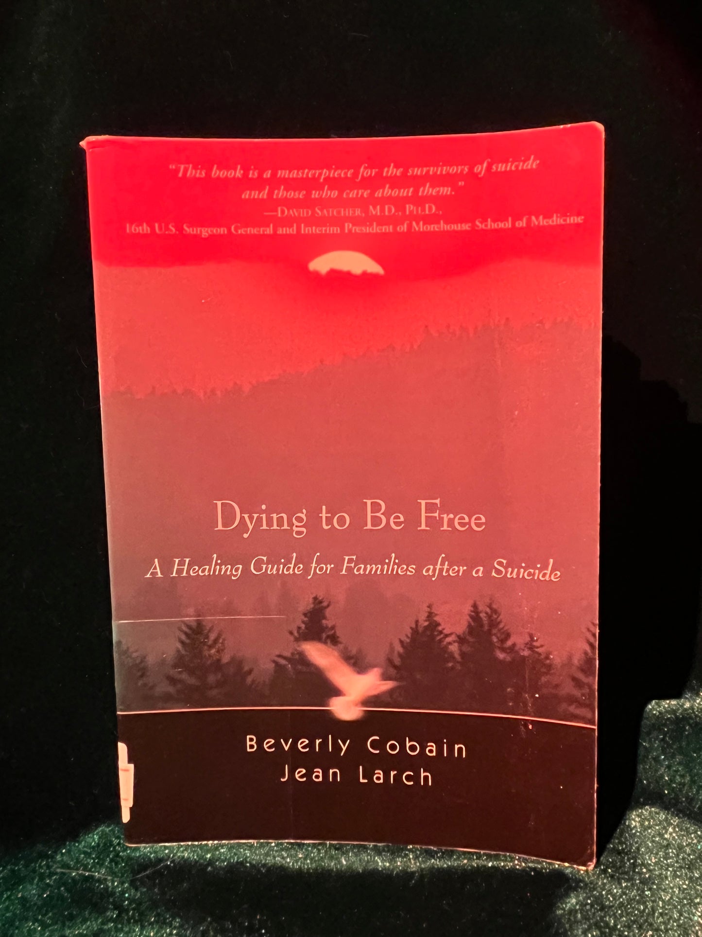Dying to Be Free: A Healing Guide for Families After a Suicide by Beverly Cobain