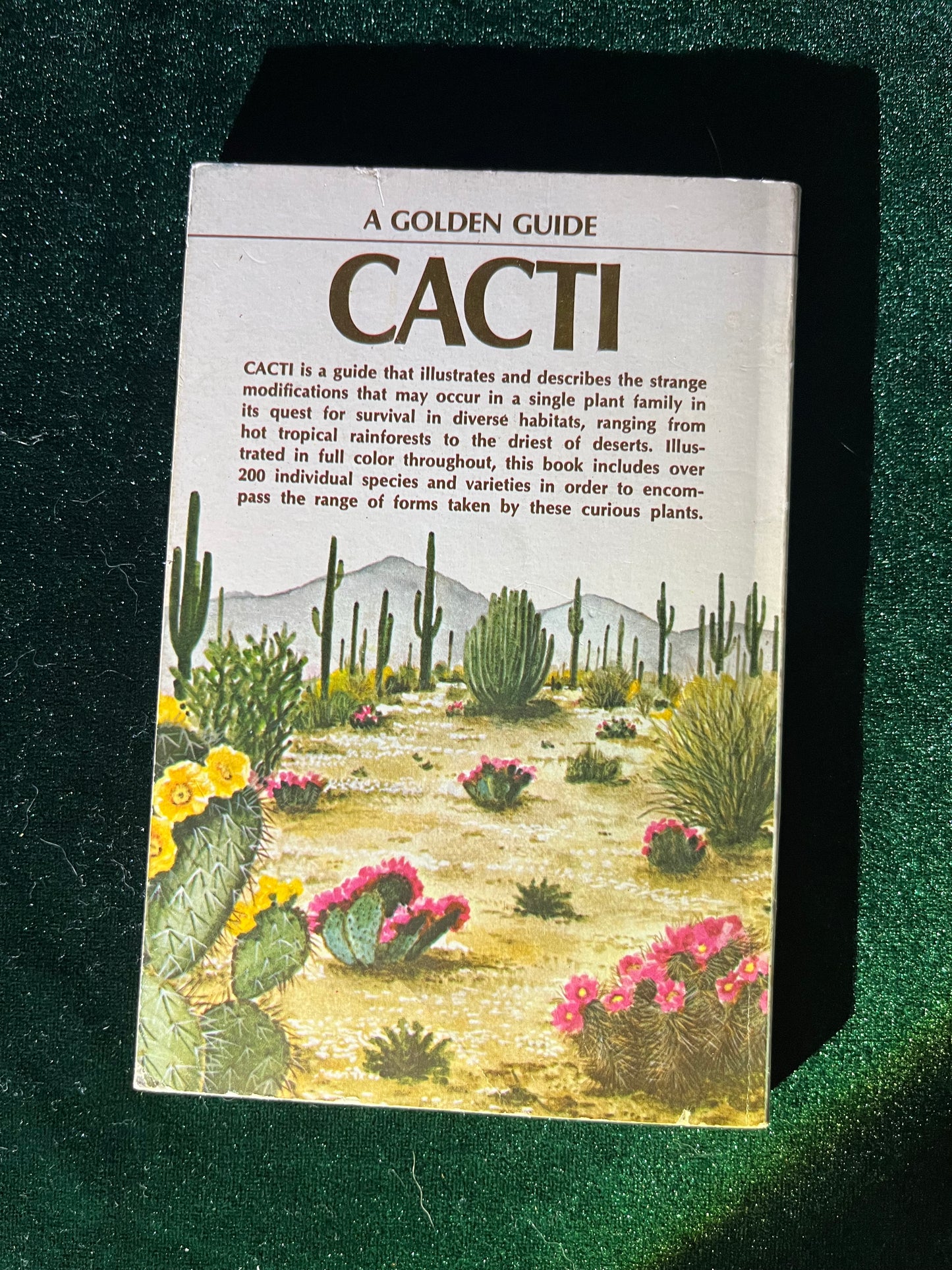 Cacti (A Golden Guide) 1974 Vintage