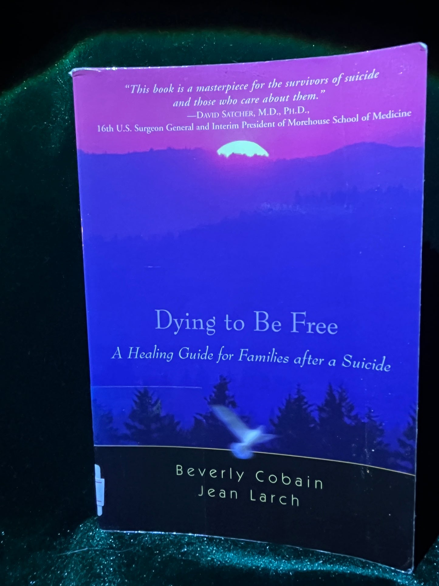 Dying to Be Free: A Healing Guide for Families After a Suicide by Beverly Cobain