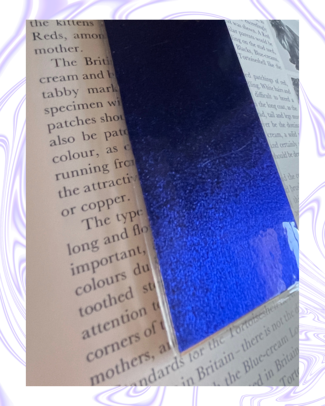 Illuminatus! Bookmark