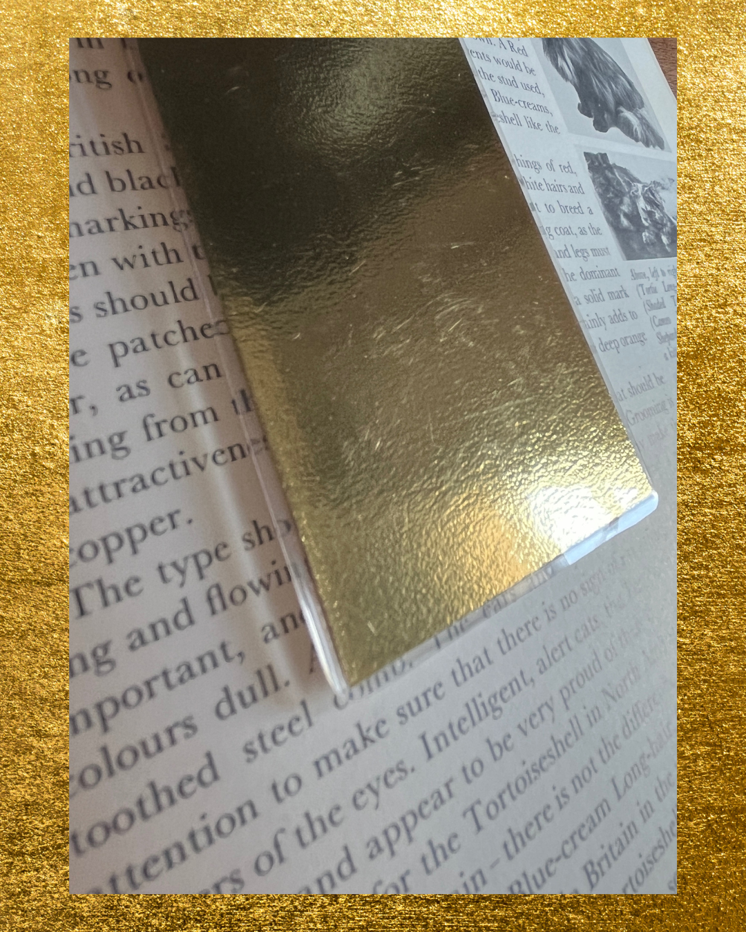 Church of the Subgenius Bookmark