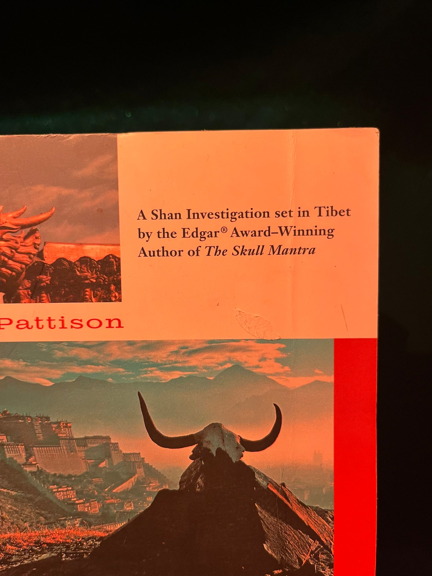 Prayer of the Dragon by Eliot Pattison