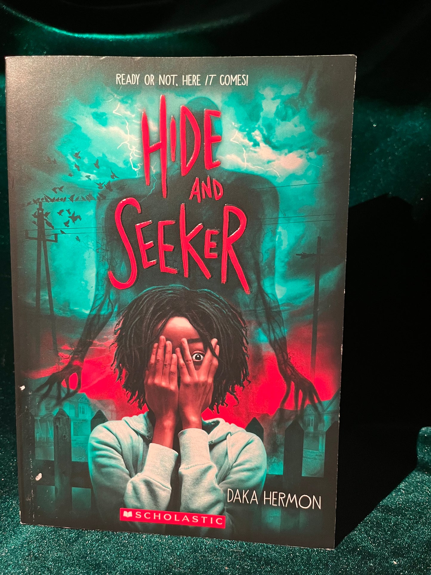 Hide and Seeker by Daka Hermon