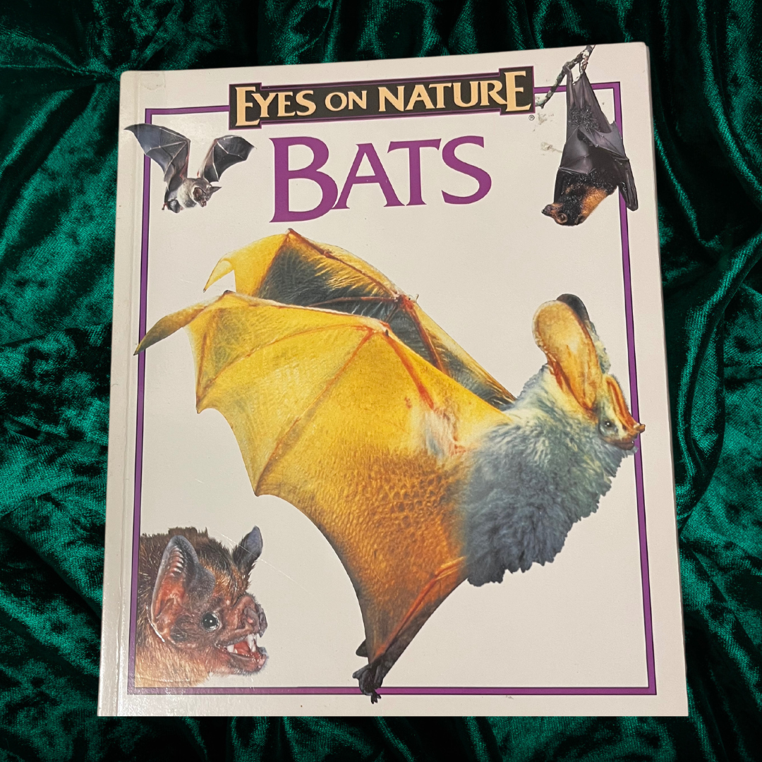 Eyes on Nature: Bats by Celia Bland