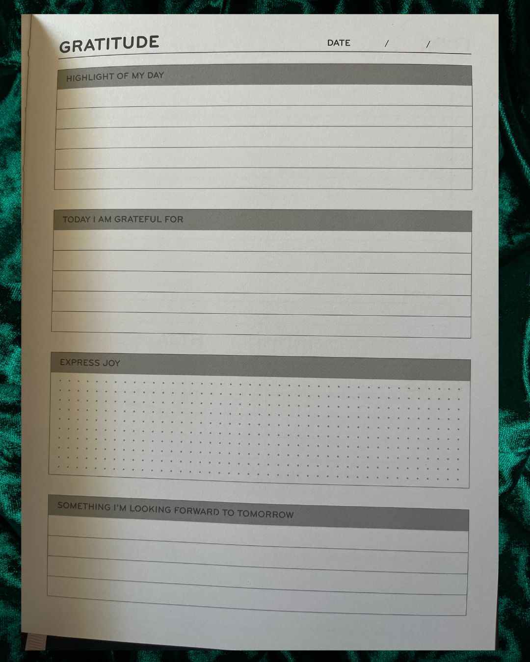Planner/Journal