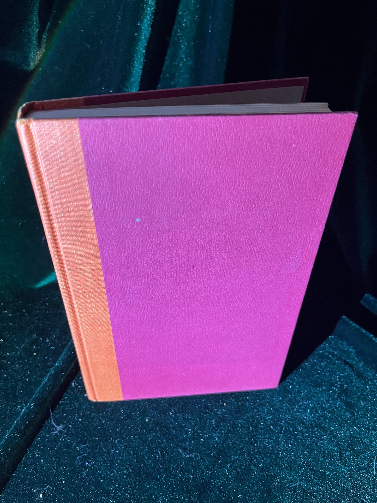 The Private Life of Florence Nightingale by Richard Gordon