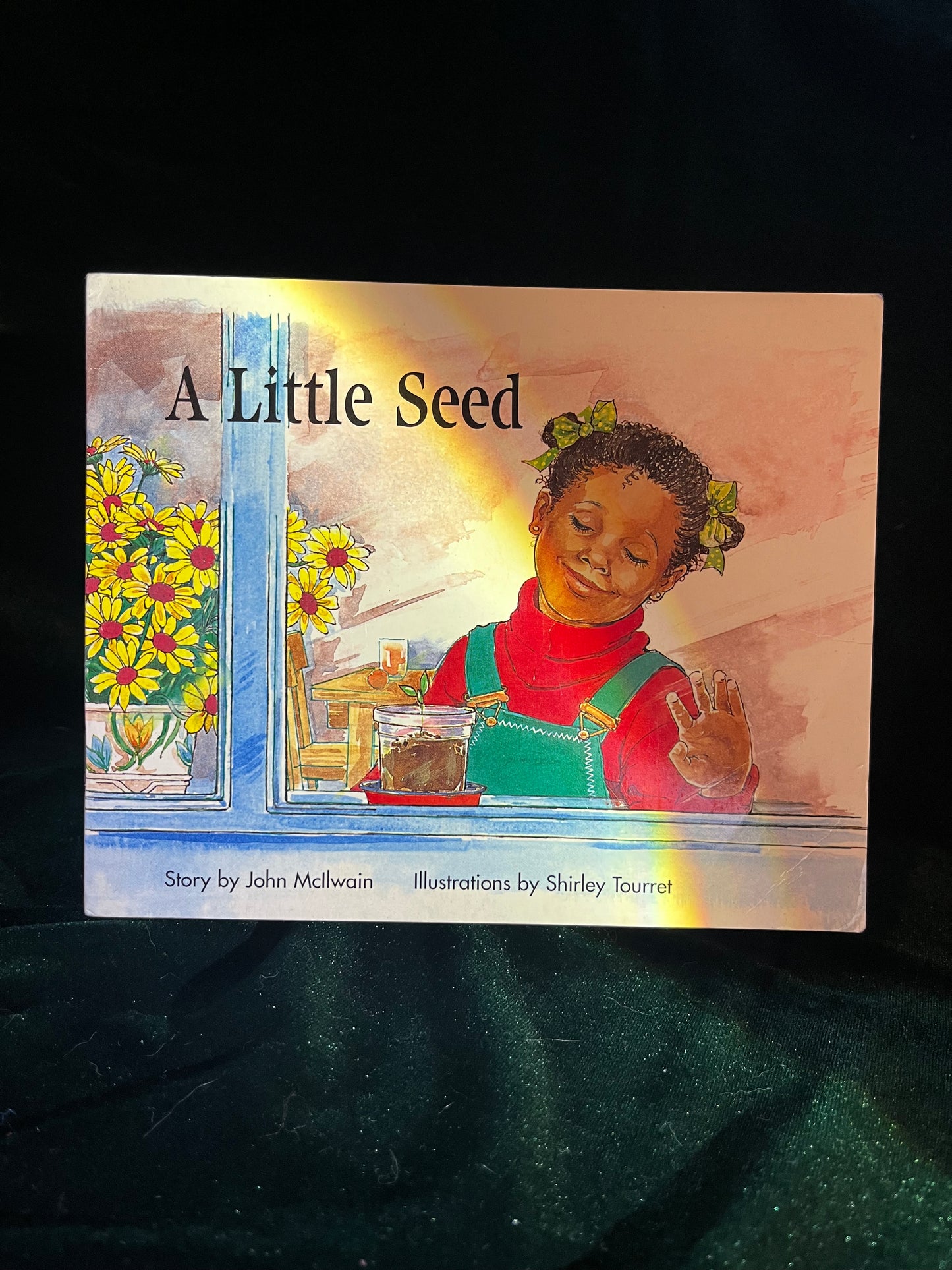 A Little Seed by John McIlwain