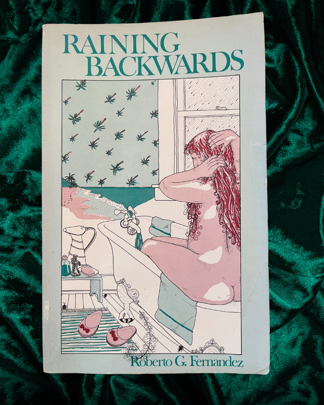 Raining Backwards by Roberto G. Fernandez