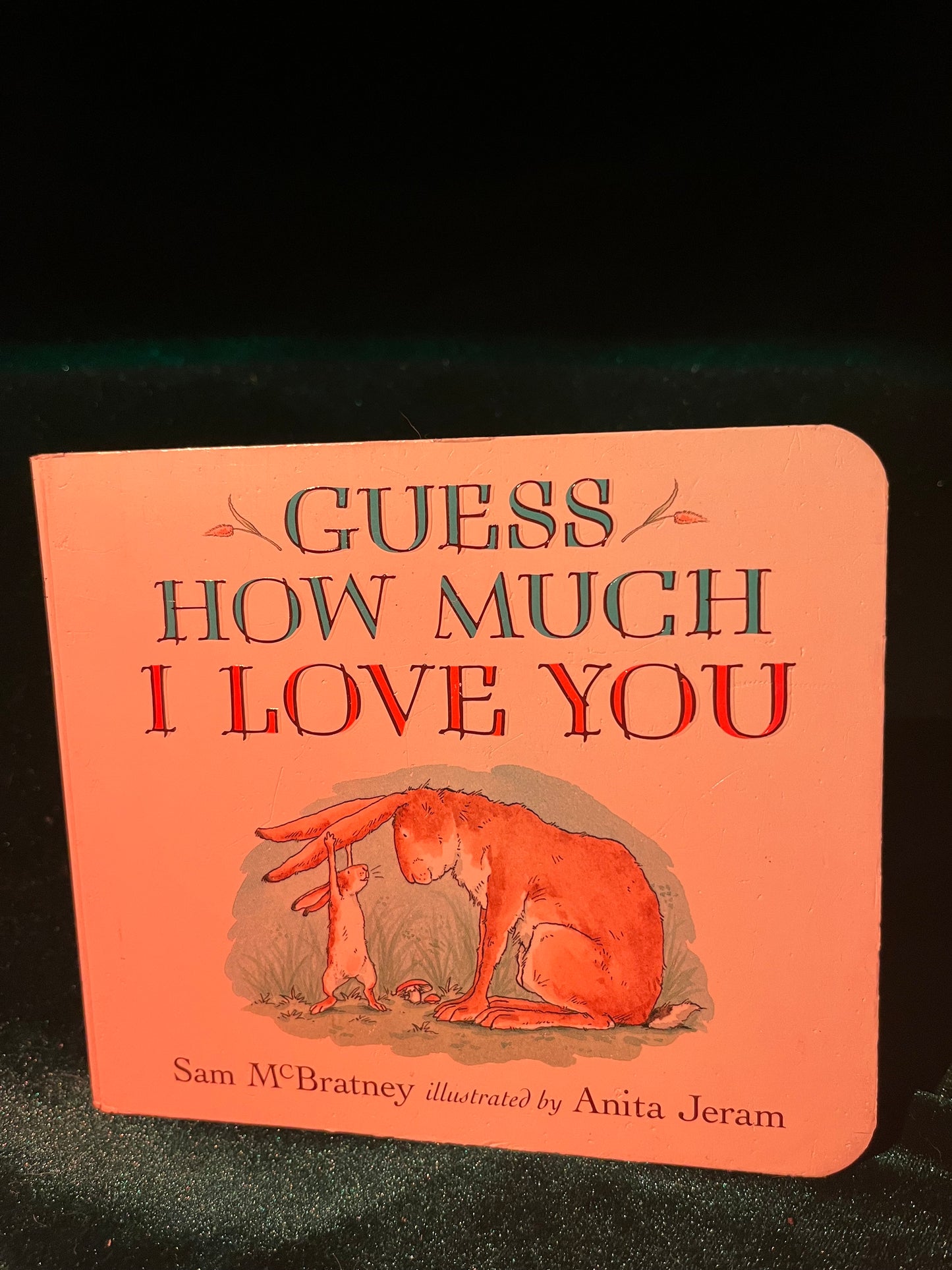 Guess How Much I Love You by Sam McBratney