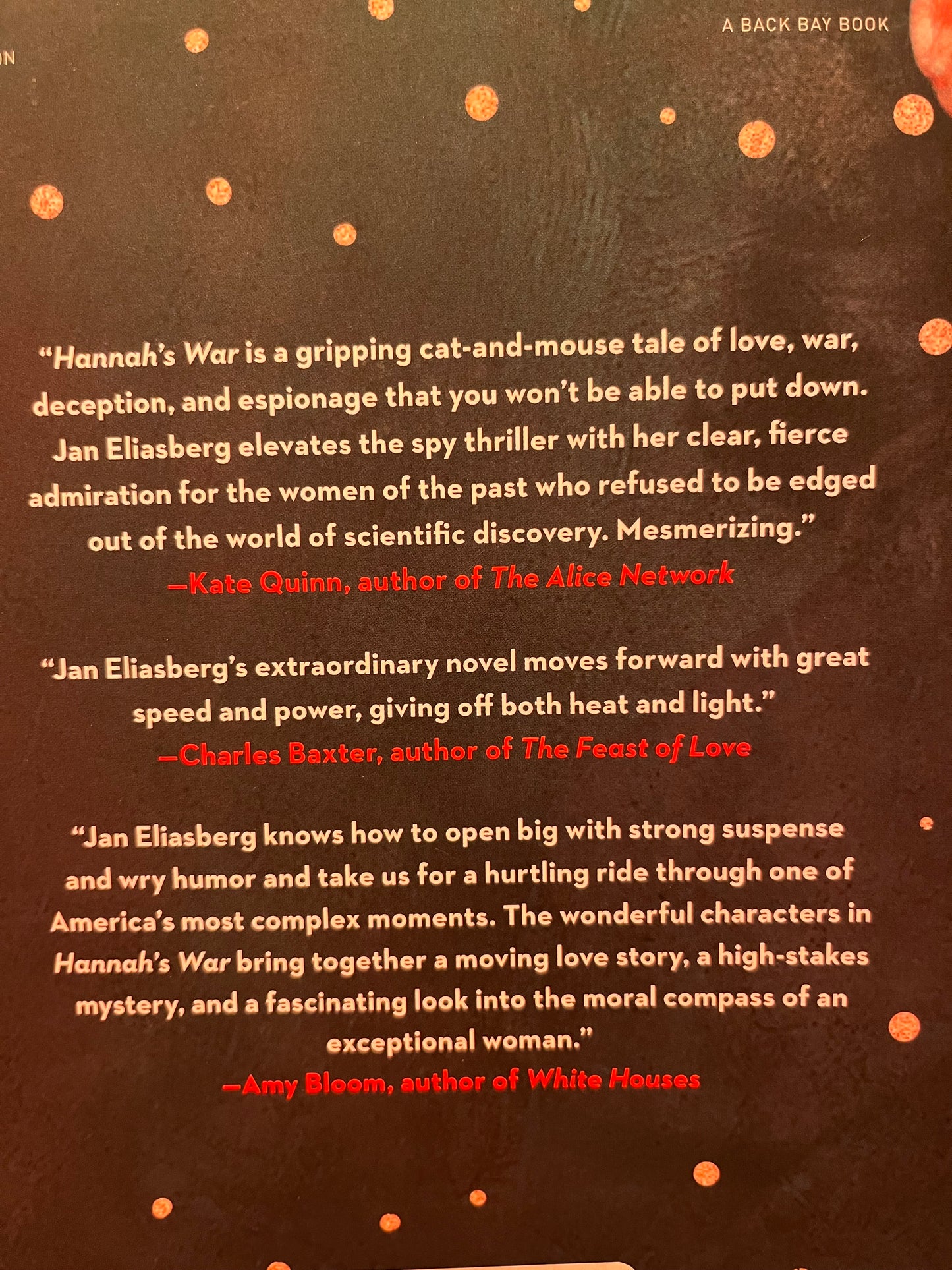 Hannah’s War by Jan Eliasberg