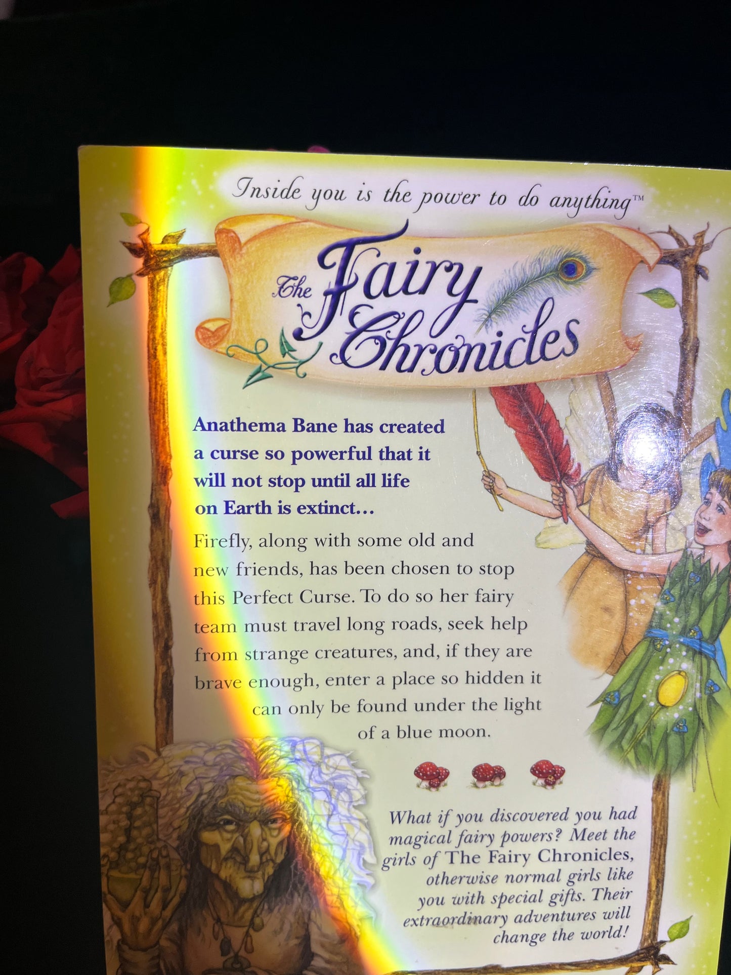 The Fairy Chronicles: Firefly and the Quest of the Black Squirrel by J.H. Sweet
