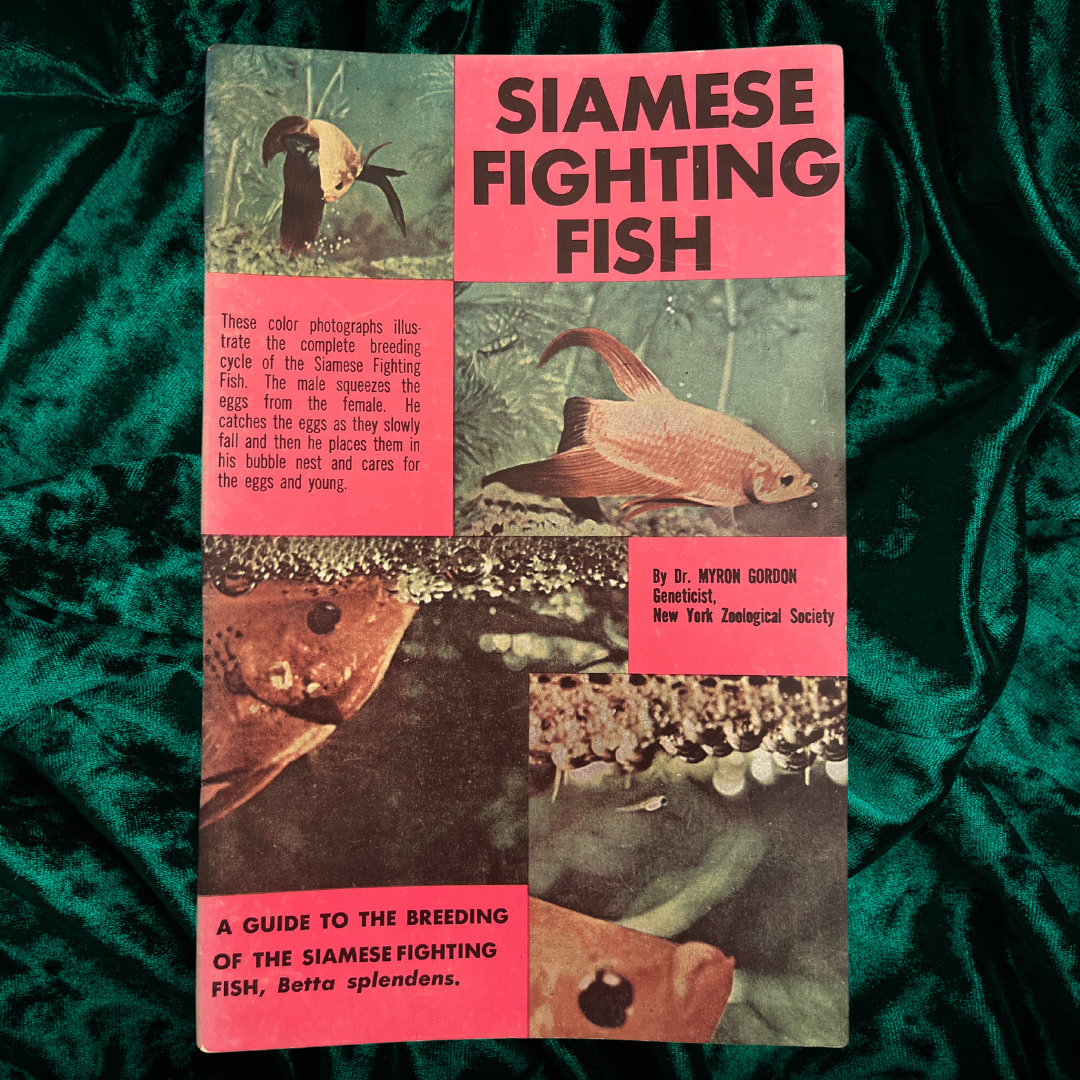 Siamese Fighting Fish by Dr. Myron Gordon (Booklet)