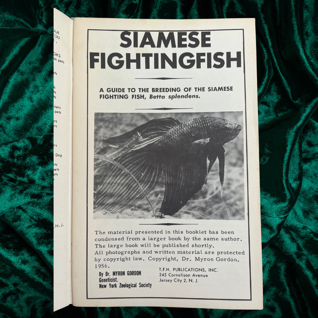 Siamese Fighting Fish by Dr. Myron Gordon (Booklet)