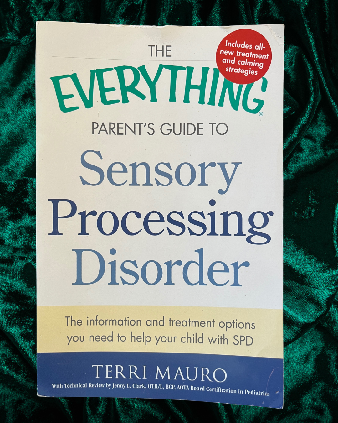 The Everything Parents Guide to Sensory Processing Disorder by Terri Mauro