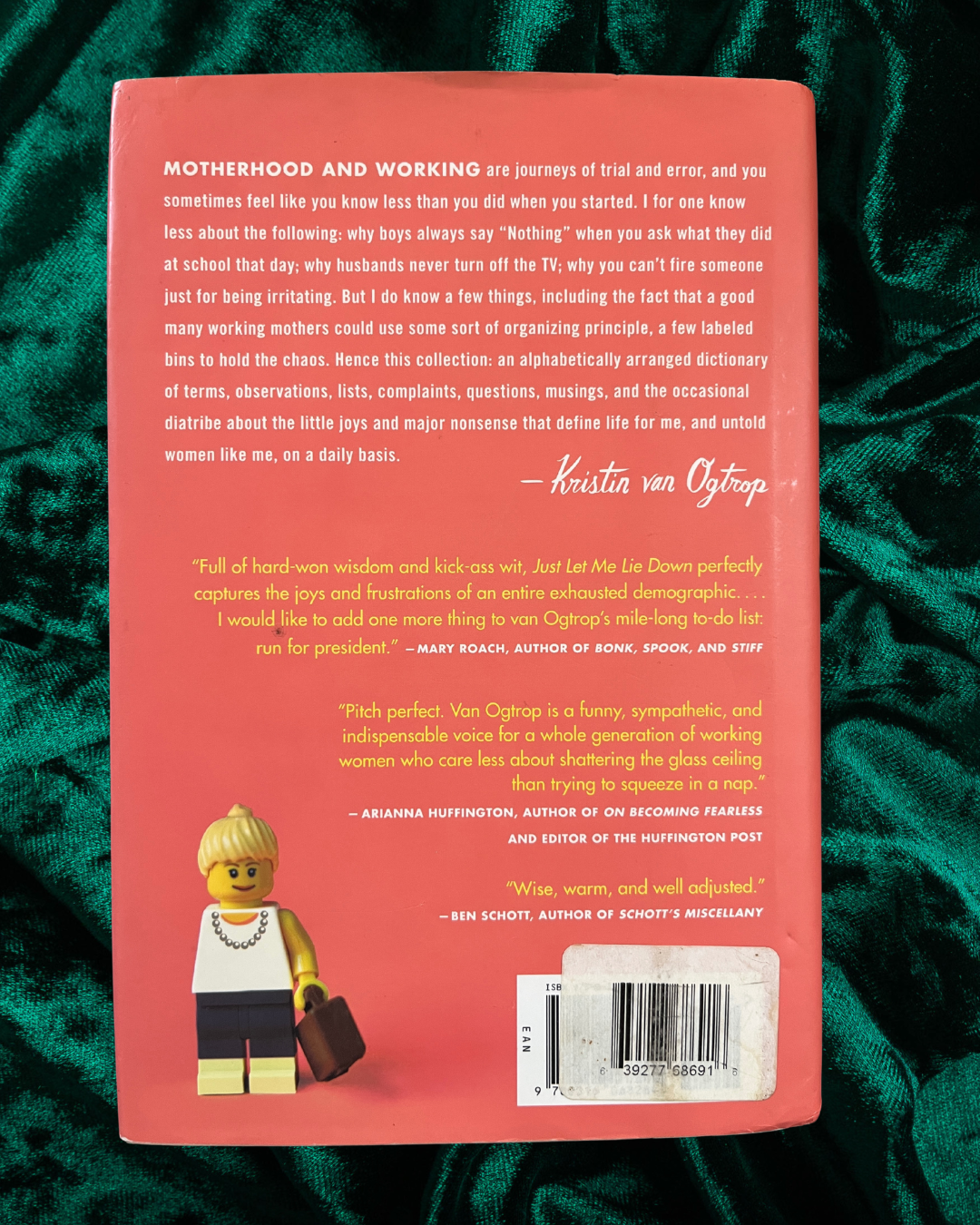 Just Let Me Lie Down by Kristin van Ogtrop