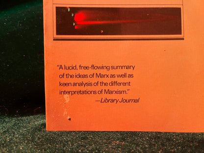 Karl Marx by David McLellan